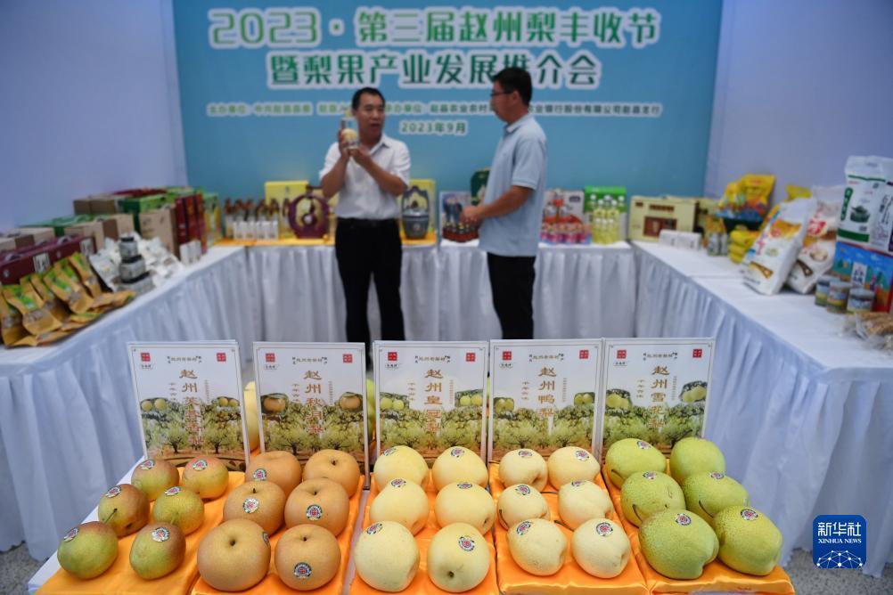 uedbet亚洲官网